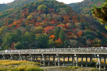嵐山の紅葉2.jpg